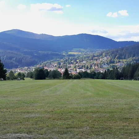 Apartman Železná Ruda المظهر الخارجي الصورة