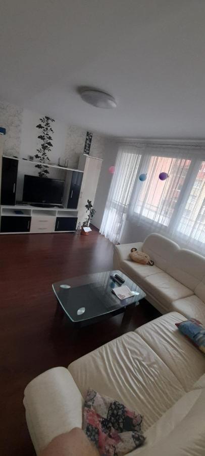 Apartman Železná Ruda المظهر الخارجي الصورة